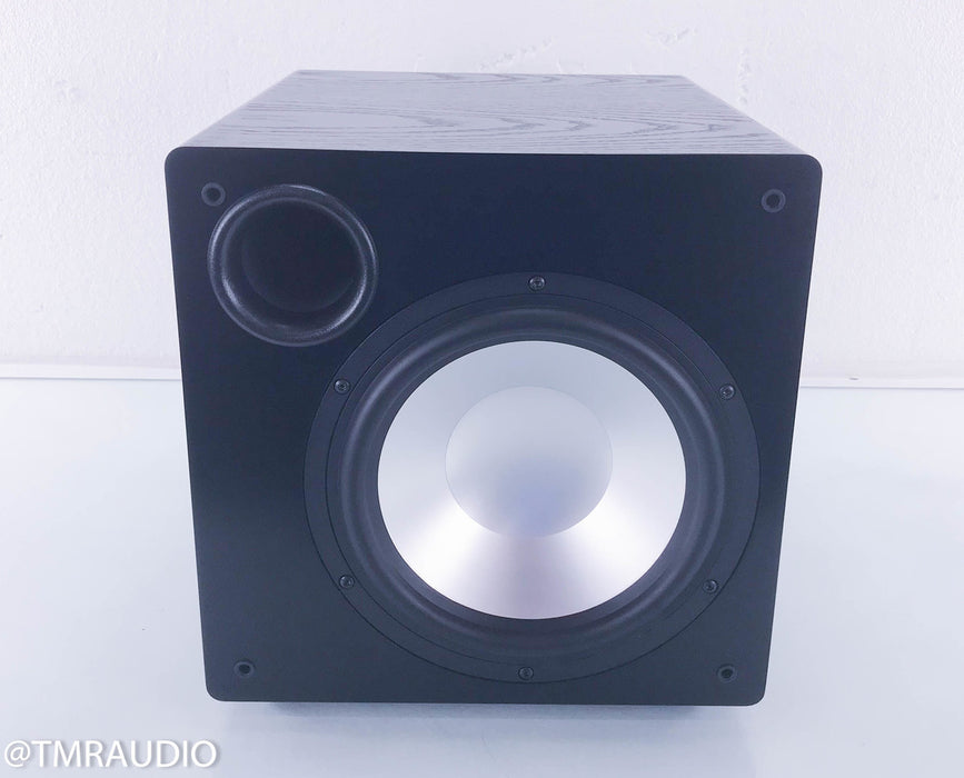 RBH TS-10AP Powered Subwoofer