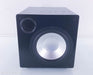 RBH TS-10AP Powered Subwoofer