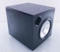 RBH TS-10AP Powered Subwoofer
