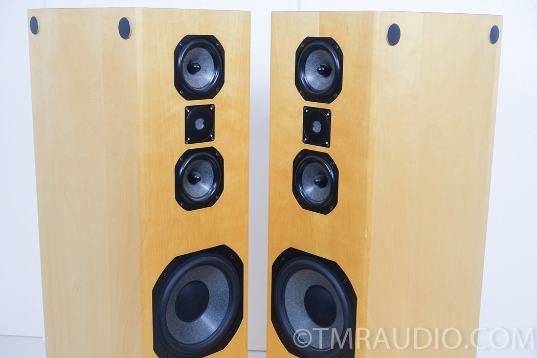 Steve Norber (Edge, Prana Fidelity) Custom Floorstanding Speakers