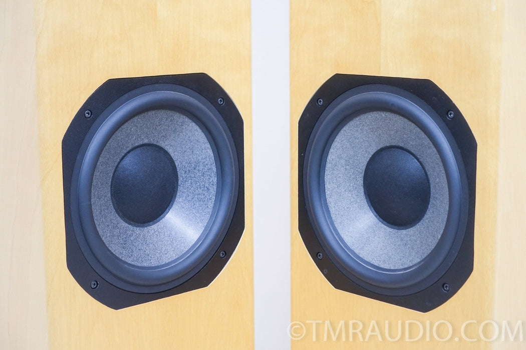 Steve Norber (Edge, Prana Fidelity) Custom Floorstanding Speakers
