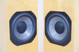 Steve Norber (Edge, Prana Fidelity) Custom Floorstanding Speakers