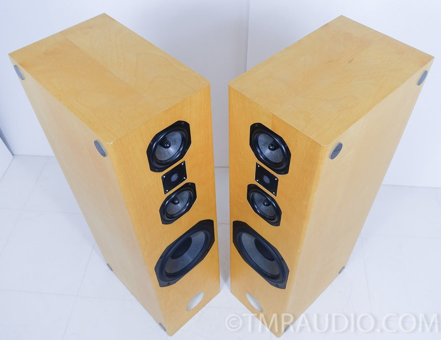 Steve Norber (Edge, Prana Fidelity) Custom Floorstanding Speakers