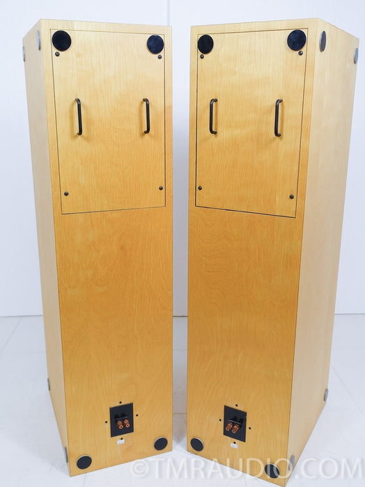 Steve Norber (Edge, Prana Fidelity) Custom Floorstanding Speakers