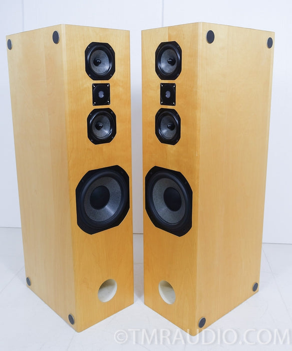 Steve Norber (Edge, Prana Fidelity) Custom Floorstanding Speakers