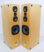 Steve Norber (Edge, Prana Fidelity) Custom Floorstanding Speakers