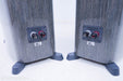 Dynaudio Contour 60 Floorstanding Speakers