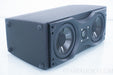Meridian DSP33 96/24 khz Center Channel Speaker