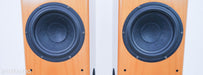 Vienna Strauss Floorstanding Speakers