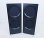 Spatial Audio Hologram M3 Turbo S Floorstanding Speakers