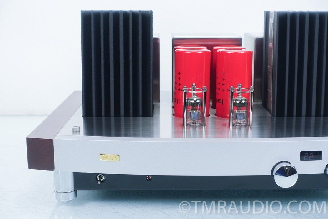 Pathos TT Anniversary INPOL Pure Class A Integrated Amplifier