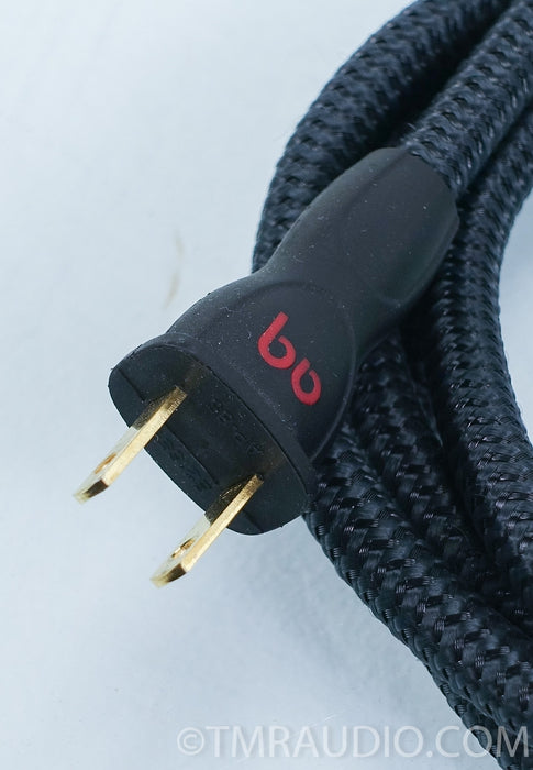 AudioQuest NRG-X2 2-Pole AC Power Cable (C17) in Factory Box