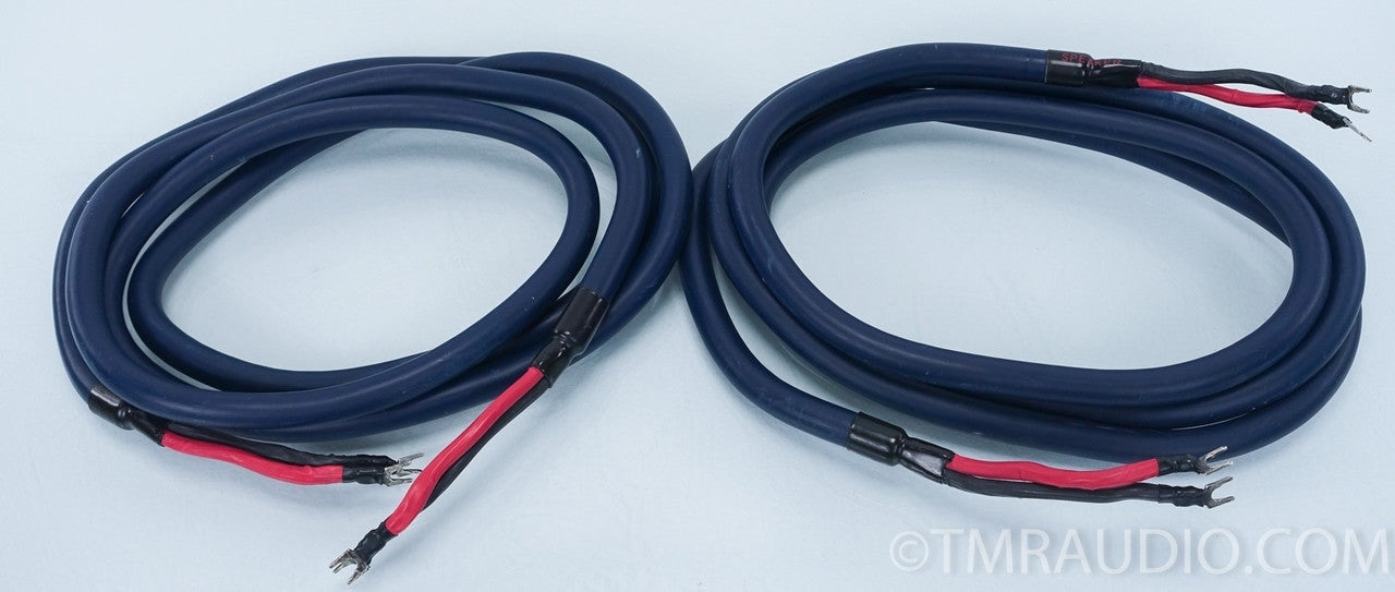 Audioquest AudioTruth Clear + Hyperlitz Speaker Cables