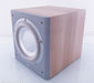 B&W ASW675 Powered Subwoofer