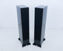 Vienna Mozart Grand Floorstanding Speakers