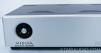 Rogue Audio Medusa Hybrid / Tube Power Amplifier in Factory Box