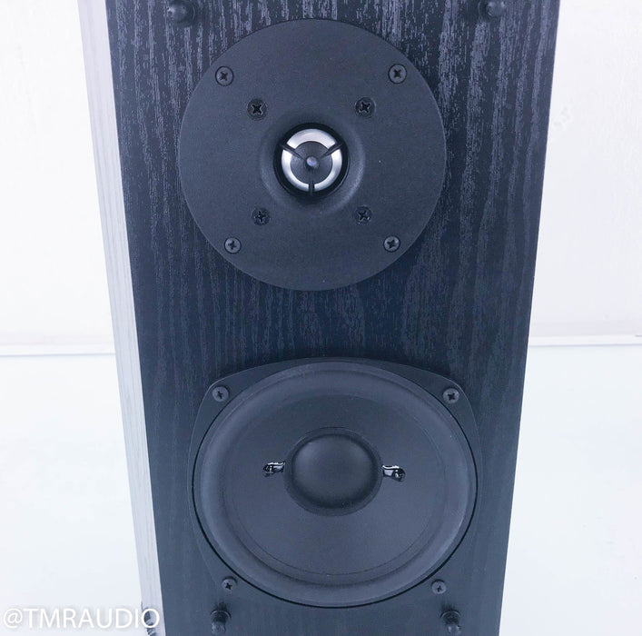 Definitive Technology BP2X Bipolar Surround Speakers