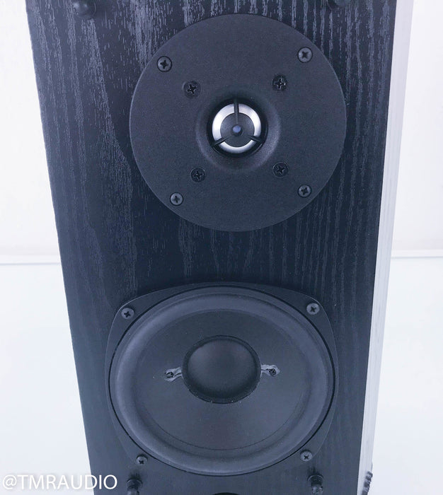 Definitive Technology BP2X Bipolar Surround Speakers