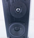 Definitive Technology BP2X Bipolar Surround Speakers