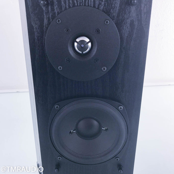 Definitive Technology BP2X Bipolar Surround Speakers