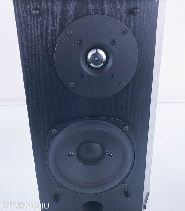 Definitive Technology BP2X Bipolar Surround Speakers