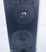 Definitive Technology BP2X Bipolar Surround Speakers