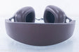 B&W P9 Signature Headphones
