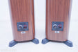 Dynaudio Contour 30 Floorstanding Speakers