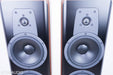 Dynaudio Contour 30 Floorstanding Speakers