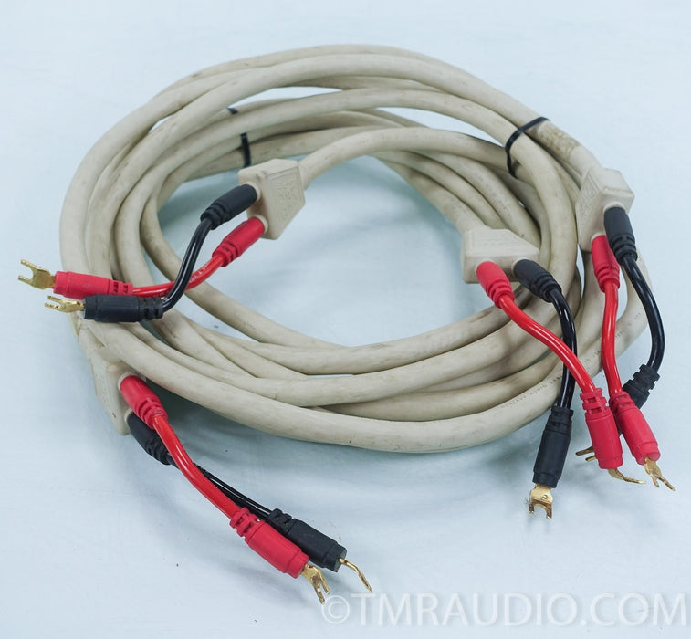Dunlavy Audio Labs Speakers Cables