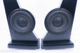Anthony Gallo Nucleus Reference 3.1 Floorstanding Speakers