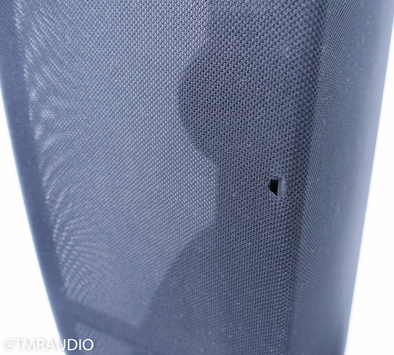 Anthony Gallo Nucleus Reference 3.1 Floorstanding Speakers