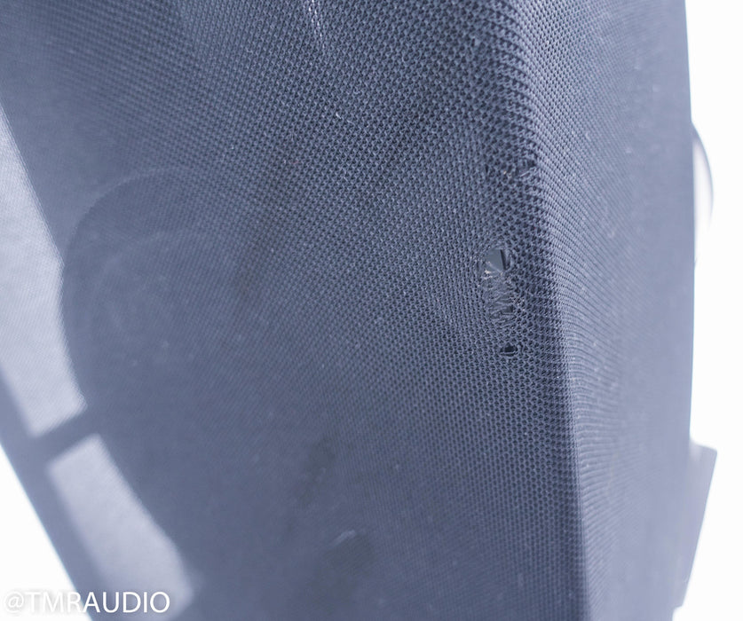 Anthony Gallo Nucleus Reference 3.1 Floorstanding Speakers