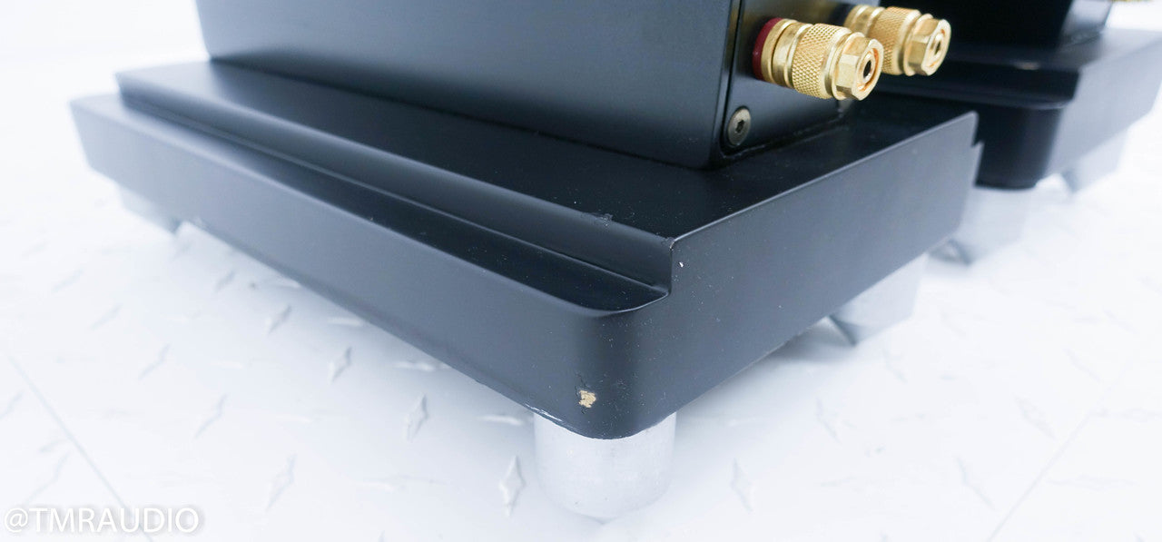 Anthony Gallo Nucleus Reference 3.1 Floorstanding Speakers