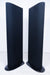 GoldenEar Triton Two Speakers
