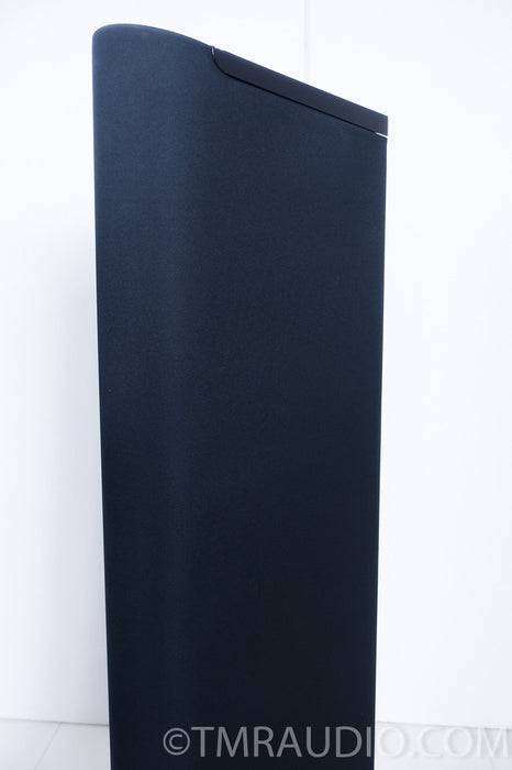 GoldenEar Triton Two Speakers