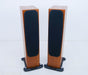Monitor Audio Gold Signature GS20 Floorstanding Speakers