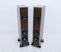 Vienna Acoustics Beethoven Baby Grand SE Floorstanding Speakers