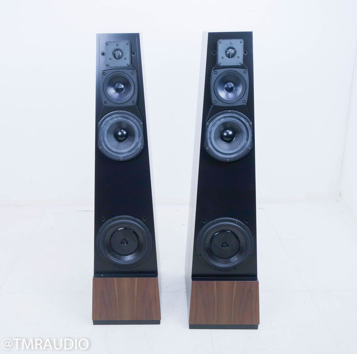 Vandersteen Treo CT Floorstanding Speakers