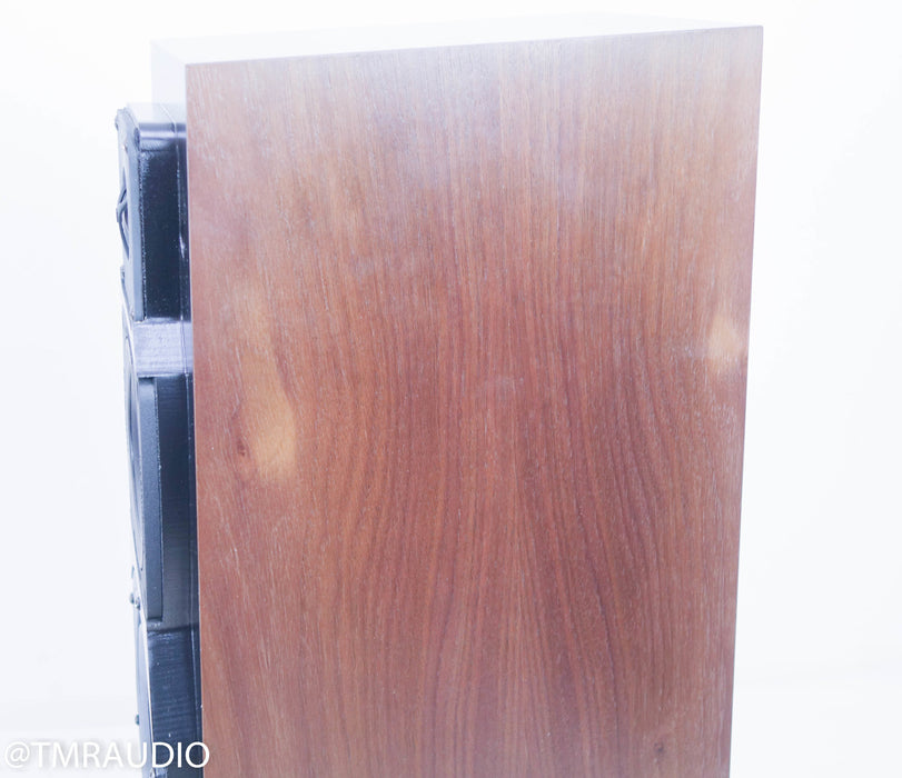 Vandersteen Treo CT Floorstanding Speakers