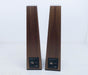 Vandersteen Treo CT Floorstanding Speakers