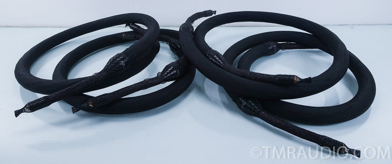 Tara Labs The Grand Master Evolution Flagship Speaker Cables