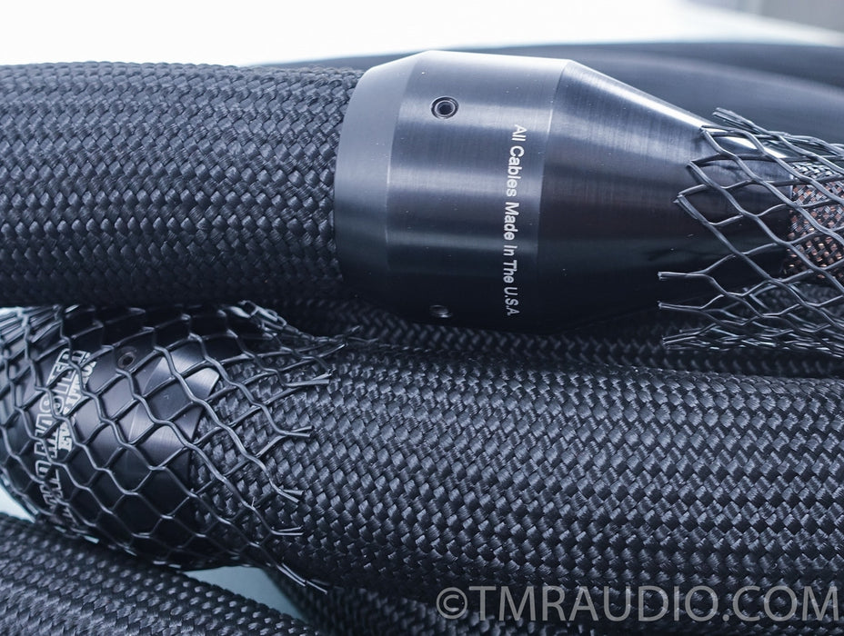 Tara Labs The Grand Master Evolution Flagship Speaker Cables