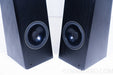 NEAR 50ML Speakers