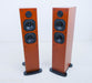 Epos Elan 30 Floorstanding Speakers