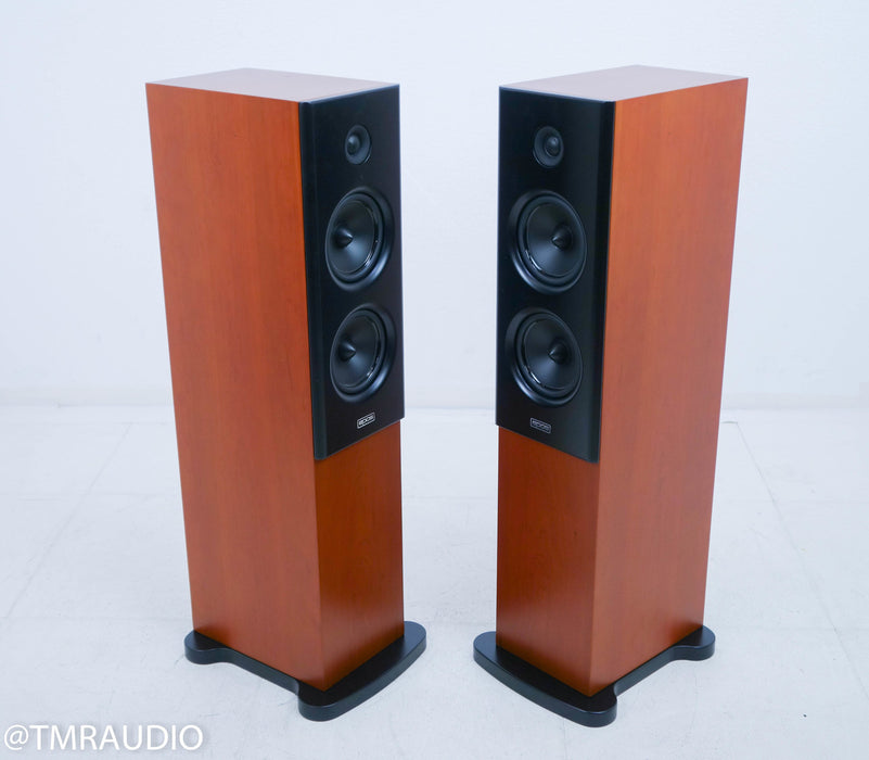 Epos Elan 30 Floorstanding Speakers