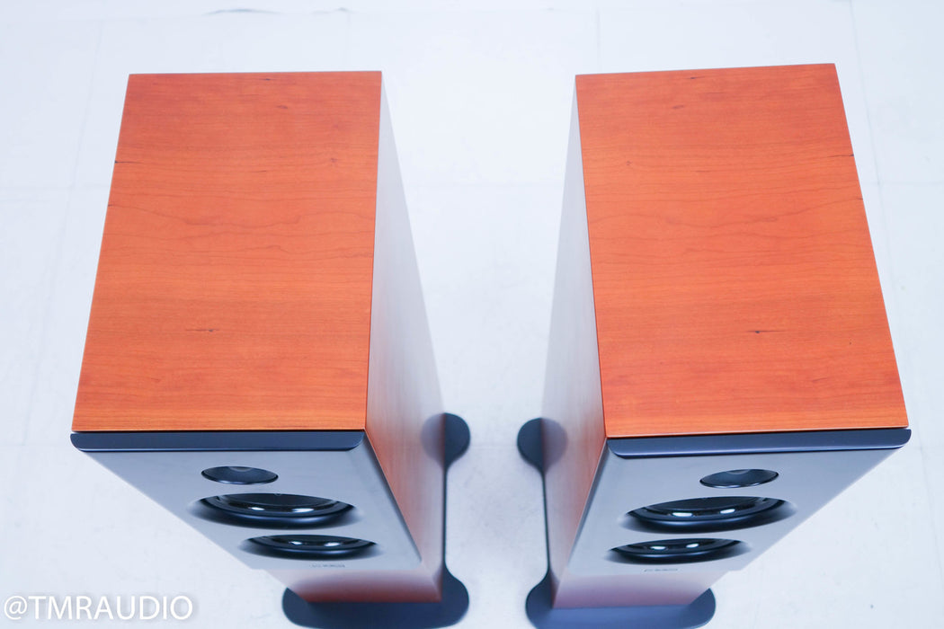 Epos Elan 30 Floorstanding Speakers