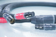 Purist Audio Designs 20th Anniversary XLR Cables / Interconnects