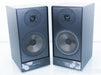 Meridian 3100 DSP Speakers