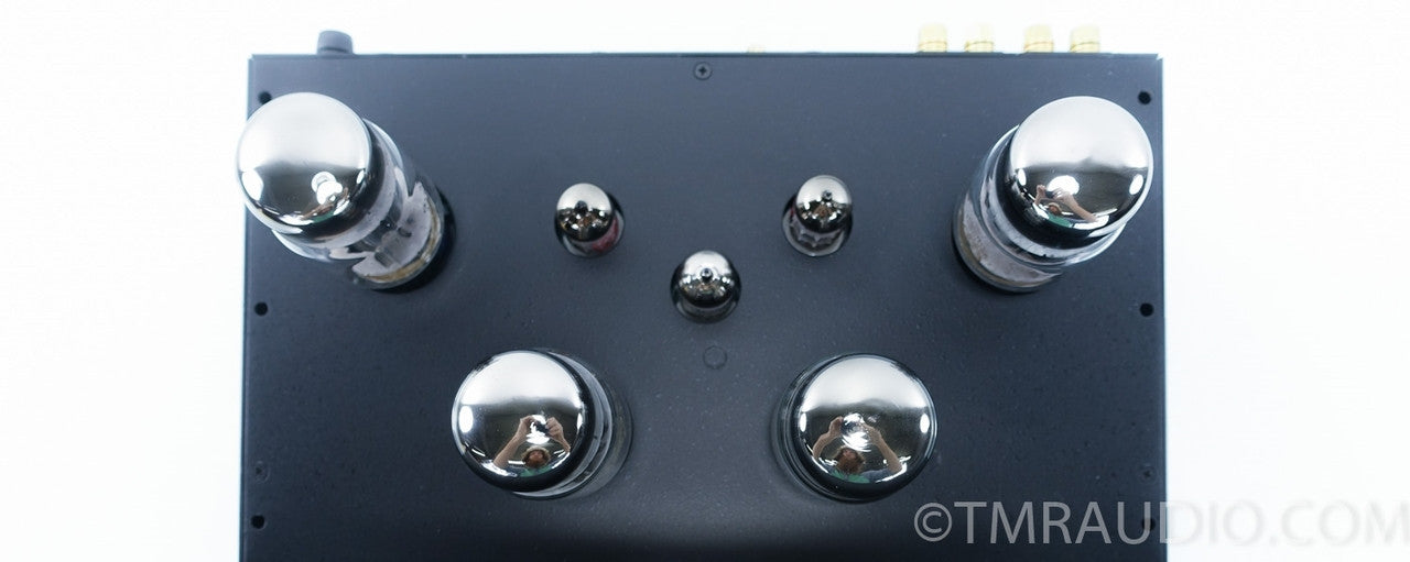 Rogue M-120 Tube Monoblock Amplifiers